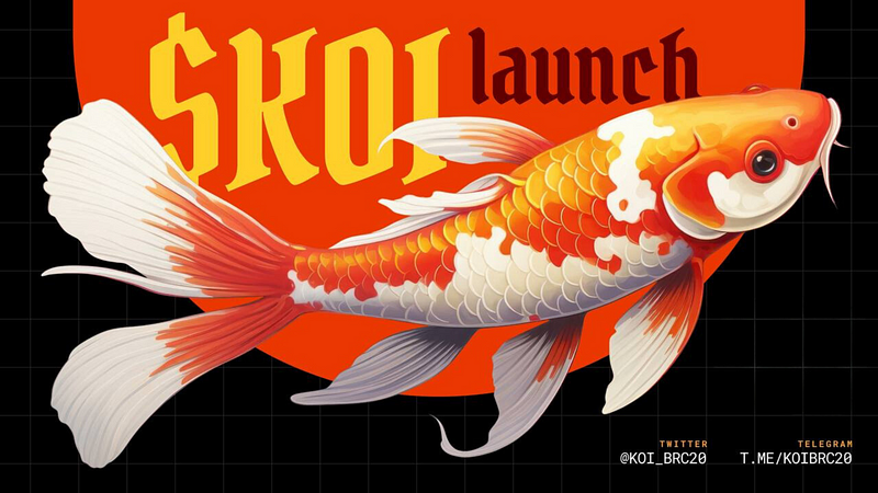 KoiPond 101: How does KoiPond work?